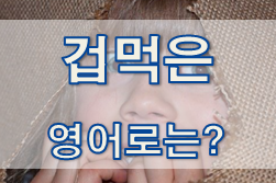  (영어 유의어) '겁먹은 / 두려운' - 영어로 어떻게?