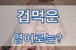 (영어 유의어) '겁먹은 / 두려운' - 영어로 어떻게?