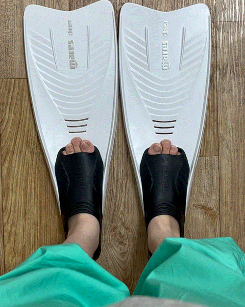  마레스 오리발 롱핀 : 우리집 개보다 수영 못하는 사람