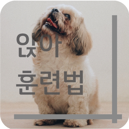  강아지 앉아 훈련법!!