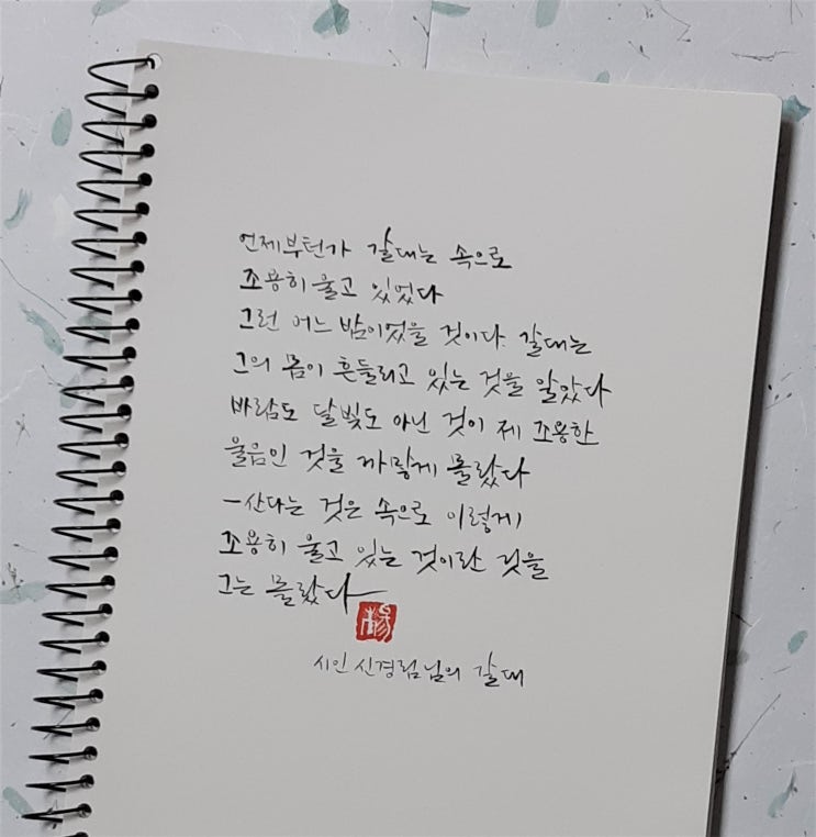  [캘리그라피(붓펜)/좋은글귀/감성글귀] 갈대(신경림님)