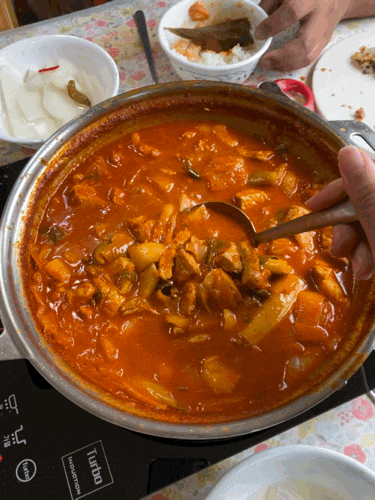  제주 서귀포 흑돼지 짜글이  도민맛집 행복한 시저네