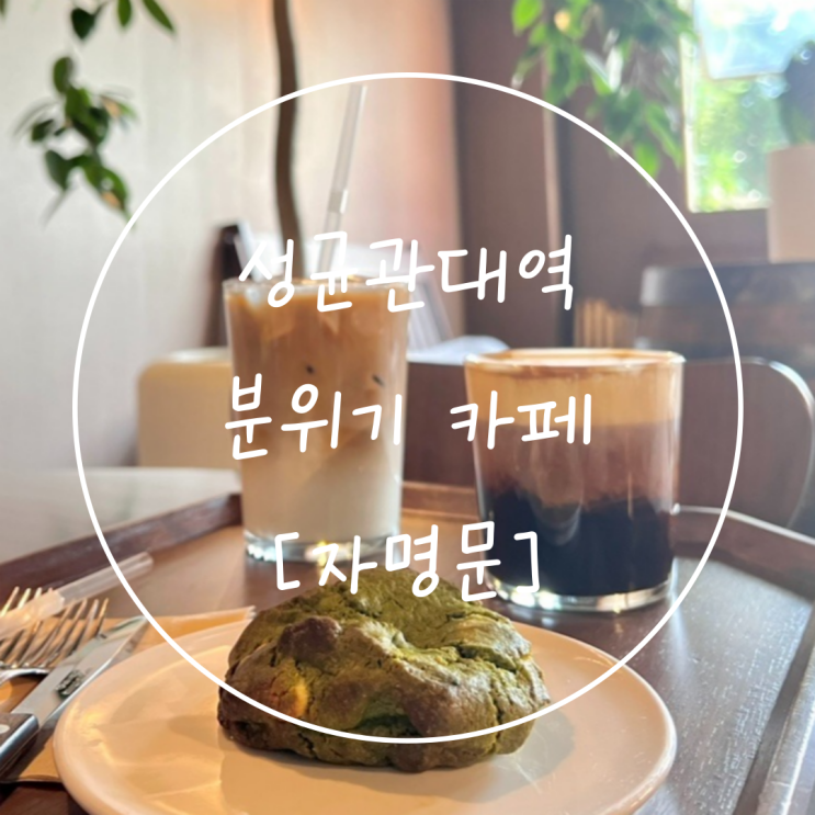  성대역 분위기 카페 율전동 디저트 말차 쿠키는 '자명문'