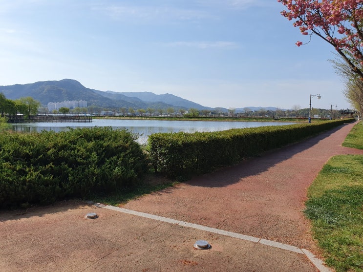  사천 초전공원 아이와 산책하기 좋은 곳