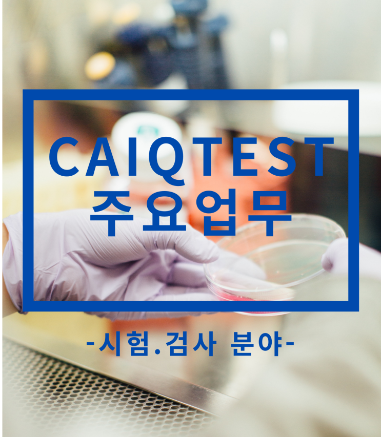 [시험.검사] CAIQTEST 주요 업무 소개