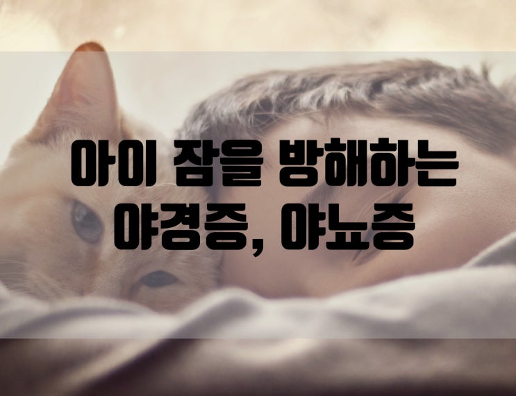  아이의 꿀잠을 방해하는 야경증 야뇨증 차이