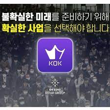  국내 콕플레이 그리고 해외 크라우드1(원)에 대한 아이러니한 결과.....