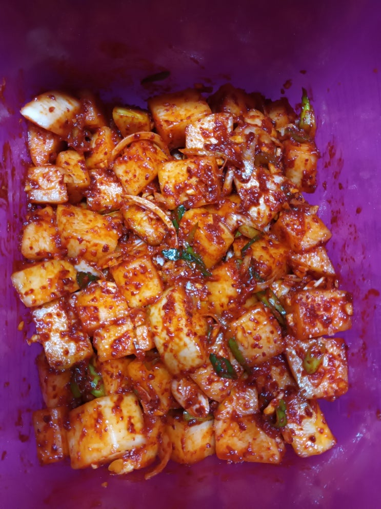  깍두기 담그는 법 깍두기 맛있게 담그는 법 깍두기 담그기