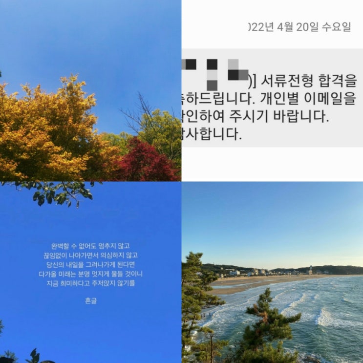  퇴사_새로운 출발(feat.서류합격)