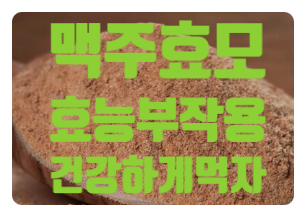  탈모에는 맥주효모 효능 부작용 고르는방법 먹는방법