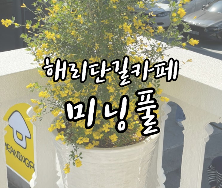  해운대 애견동반카페 해리단길카페 미닝풀