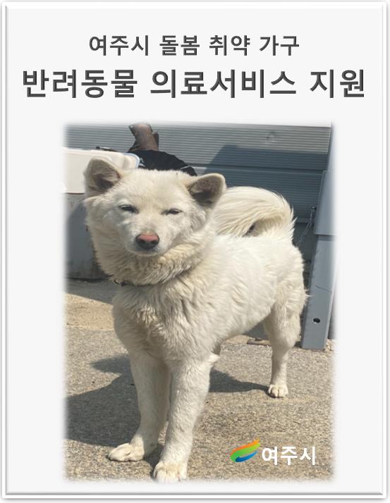 여주시, 반려동물 돌봄 취약가구에 의료비 등 지원