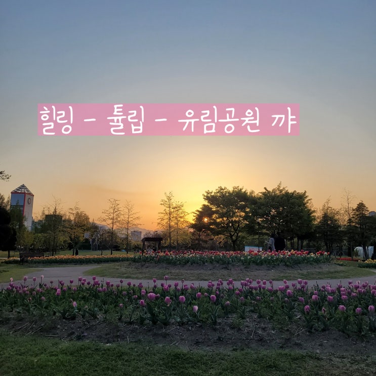 유성피크닉으로 찜 유림공원 튤립 현황 4월 20일