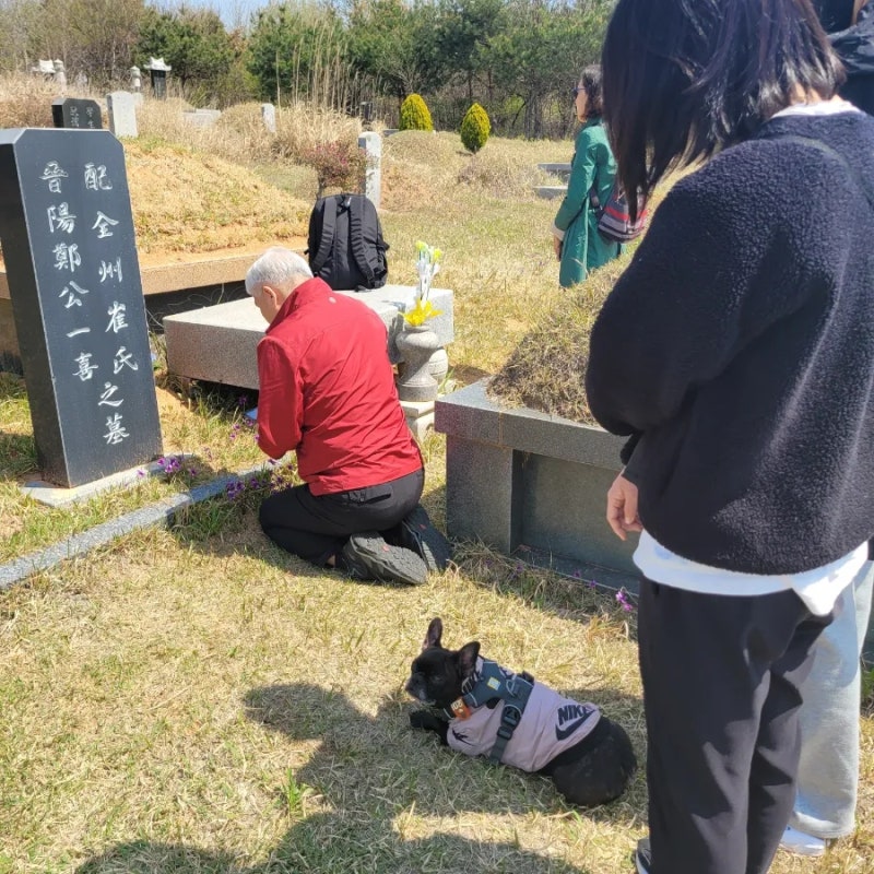사진 1