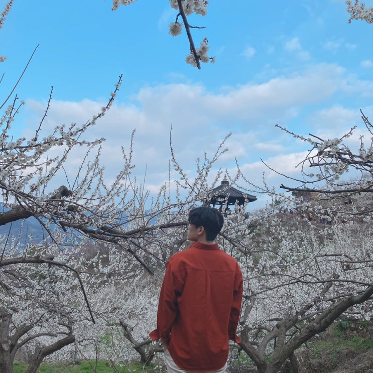  쫀득한게 좋은데 이상하게 굳어버린