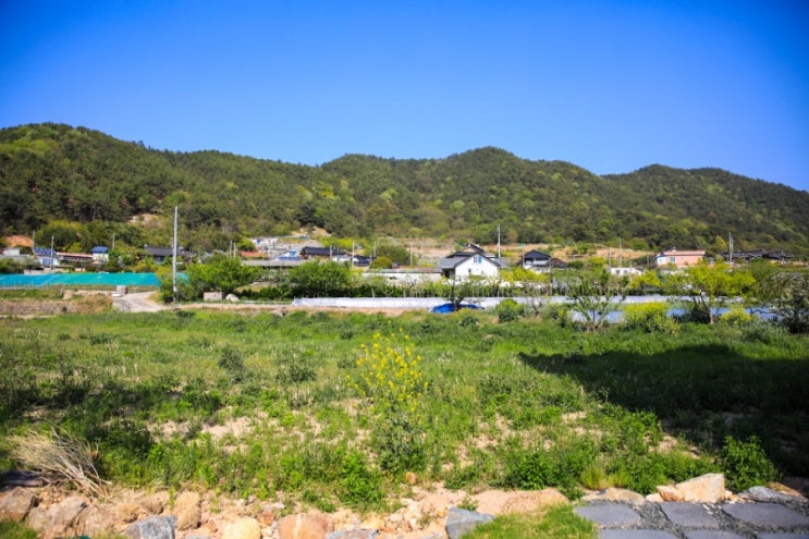  전라남도 순천 여행 비행기 요금 및 첫 날 일정