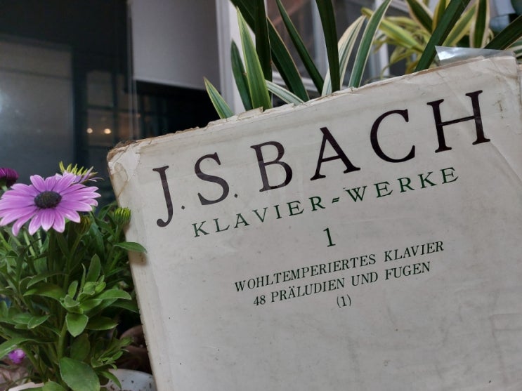 나의 연주 바흐 평균율 프렐류드 1번 BWV 846 Das Wohltemperiertes Klavier Preludio1 나의 연주 바흐 평균율 프렐류드 1번 BWV 846 Das Wohltemperiertes Klavier Preludio1