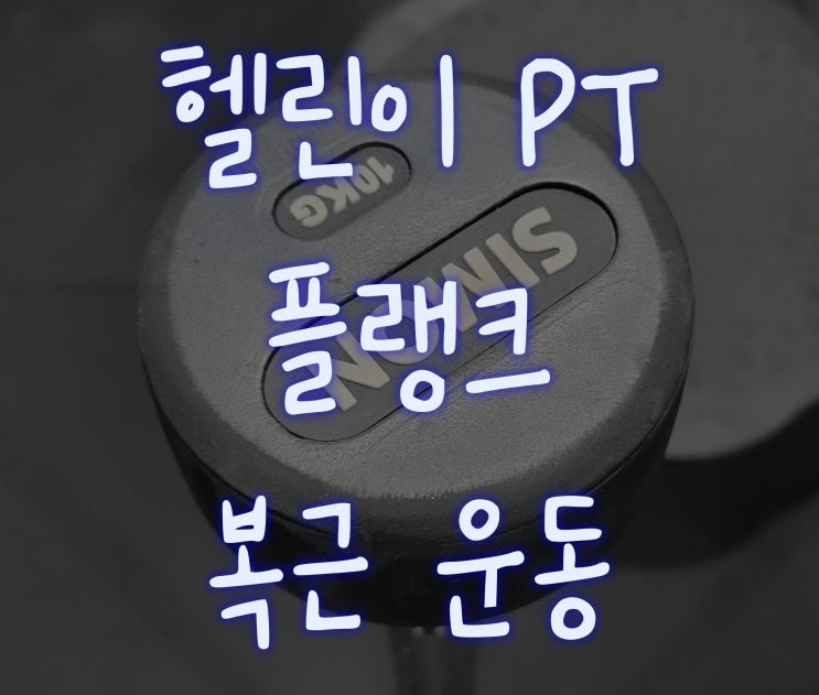  [헬린이#17] PT: 허리 디스크엔 복근 운동!