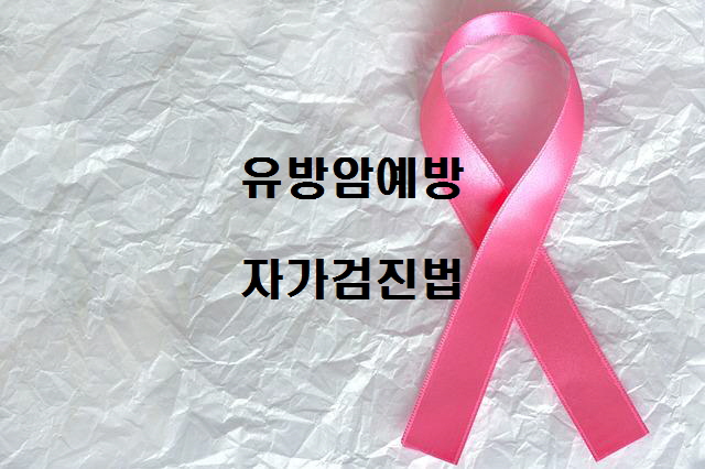 우리나라 여성 암 발병률 1위 유방암, 가슴에 멍울 자가 검진법 필독