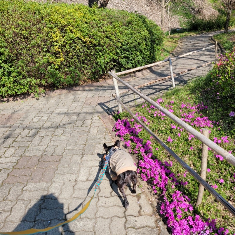 사진 2