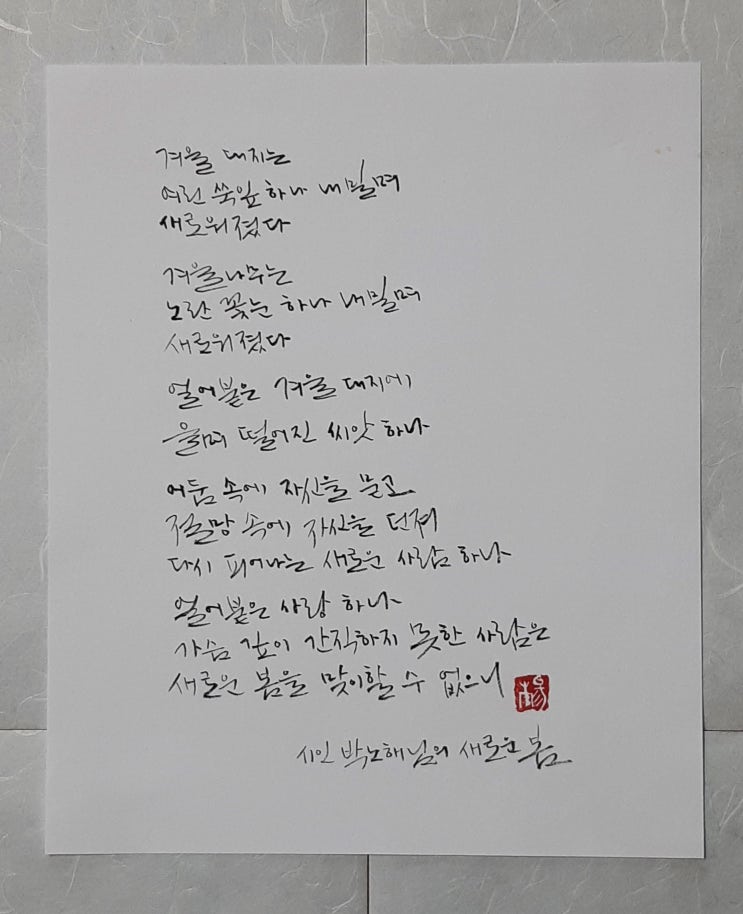  [캘리그라피(붓펜)/좋은글귀/감성글귀] 새로운 봄(박노해님)