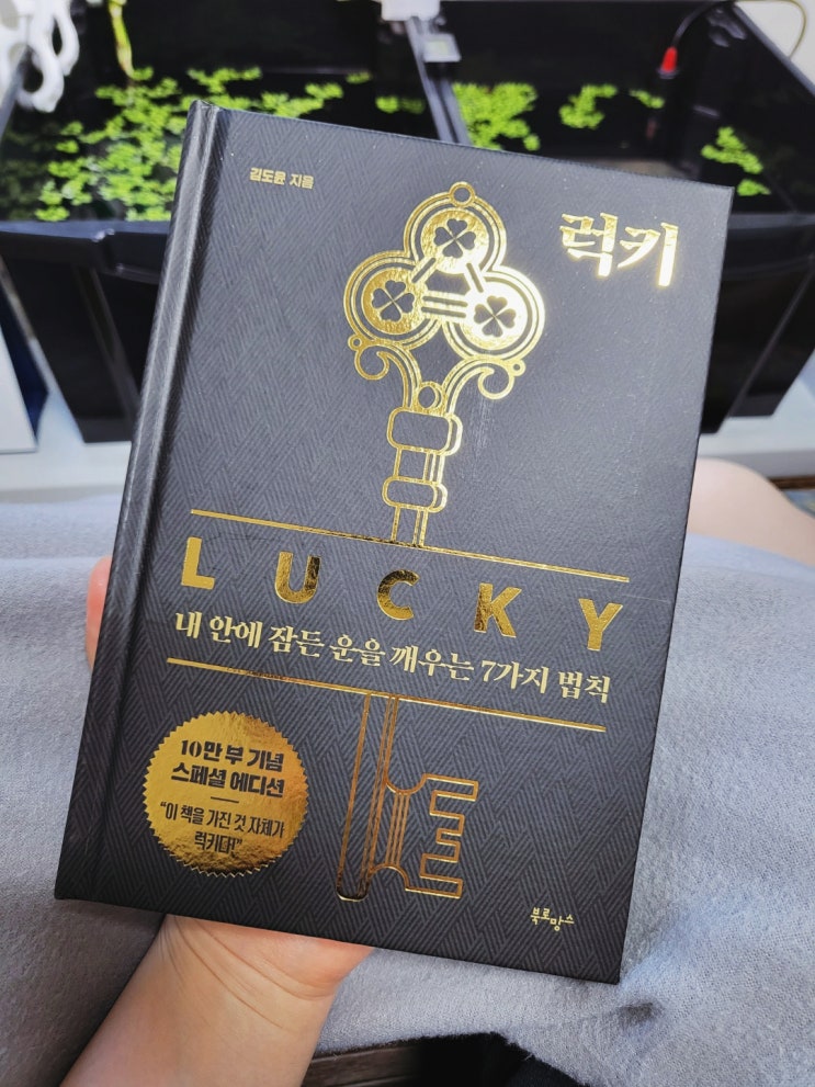 [책선물 좋은글귀] '럭키' 김도윤 신간도서 책리뷰