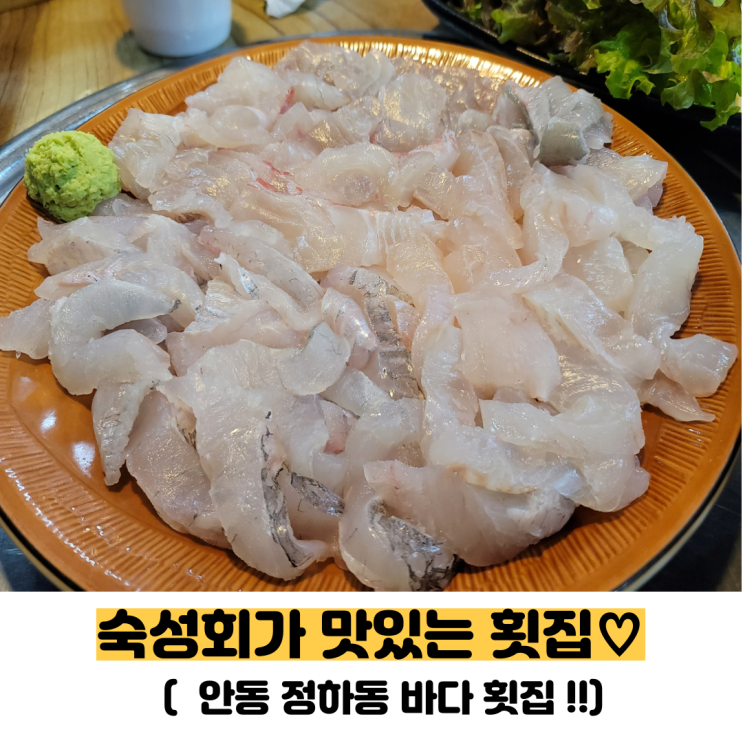 [안동 횟집]숙성회가 맛있는 정하동 바다 횟집(내돈내산,정하동 맛집)