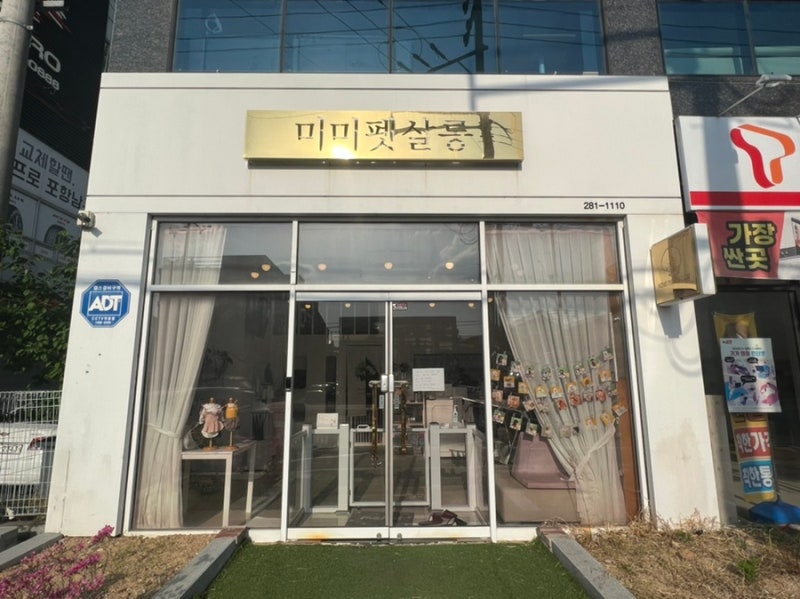 사진 2