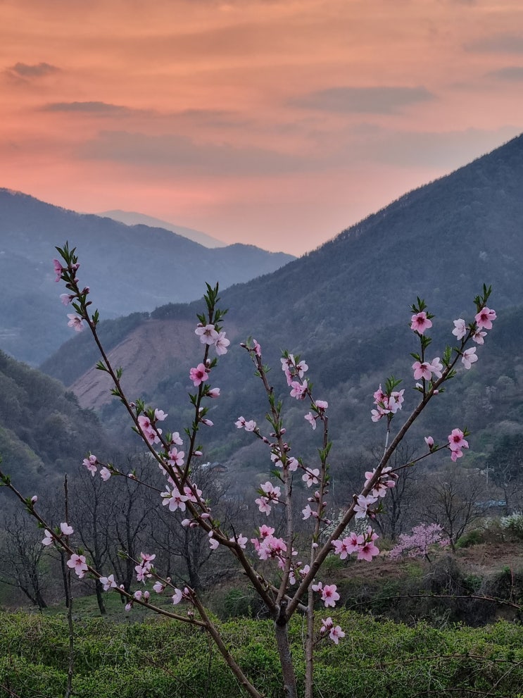  곡우