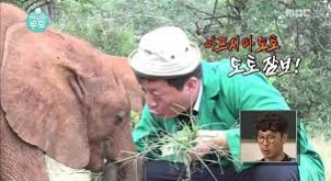  아프지마 도토 도토 잠보
