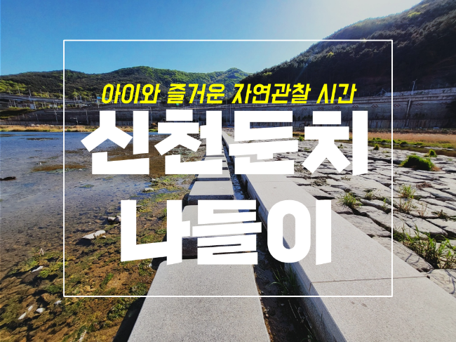  아이와 대구 파동 용두3보 신천 둔치 자연관찰 나들이