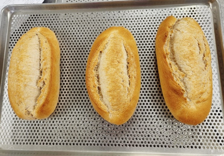  제빵기능사 실기/ 발효 물양 조절 필수 / 포인트 칼집 호밀빵