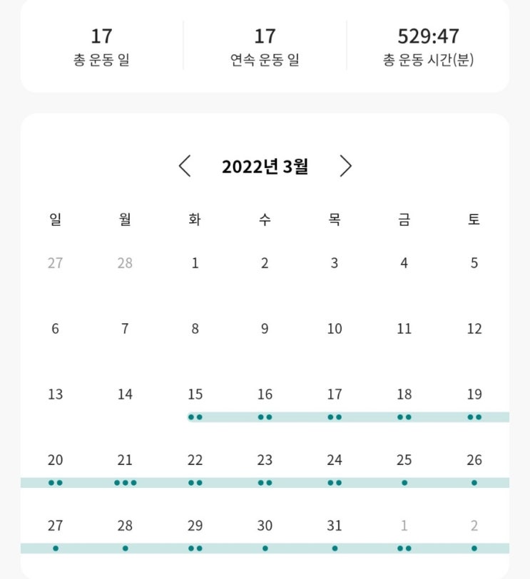  다노핏 1달 후기