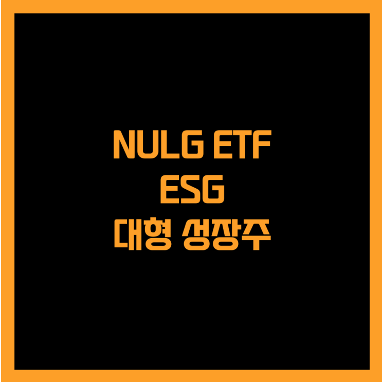  미국 ESG 대형 성장주에 투자하는 NULG ETF