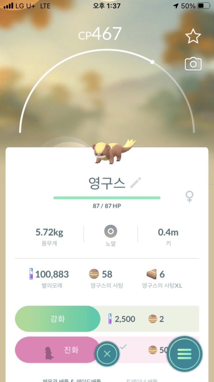  영구스, 형사구스
