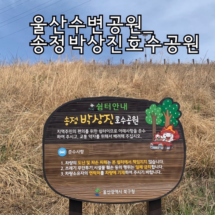  울산 가볼만한 곳 송정박상진호수공원_북구 수변공원