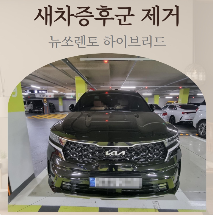  뉴쏘렌토 하이브리드 신차 차량 새차냄새 제거 방법 이런 효과가?