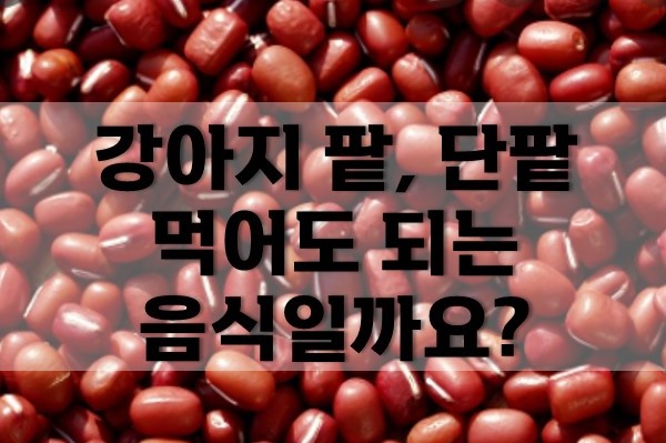  강아지 팥, 단팥 먹어도 되는걸까요?