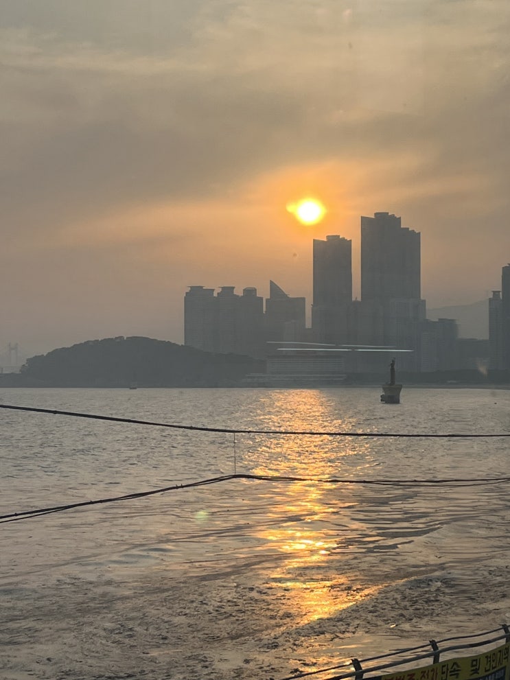  [해운대] 선창횟집 ㅣ 청풍설렁탕