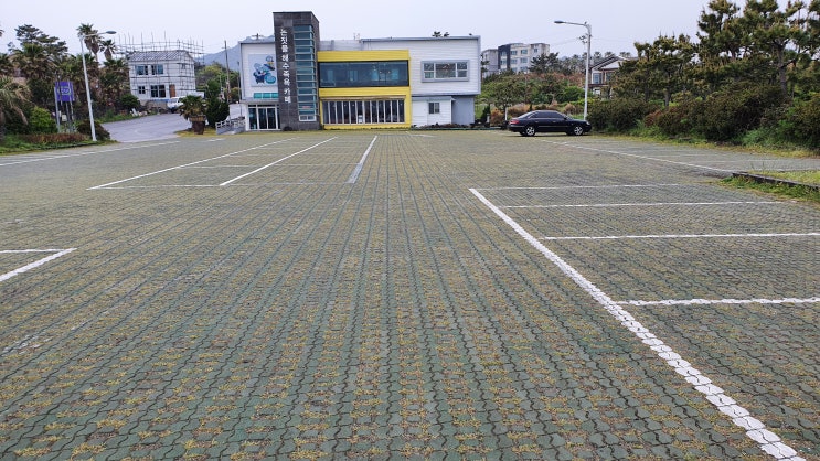  제주논짓물 담수풀장 , 보말캐기