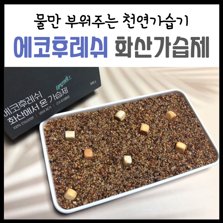 자연기화식가습기, '에코후레쉬 화산에서 온 가습제'로 수분채우기 (ft. 영화 공기살인)