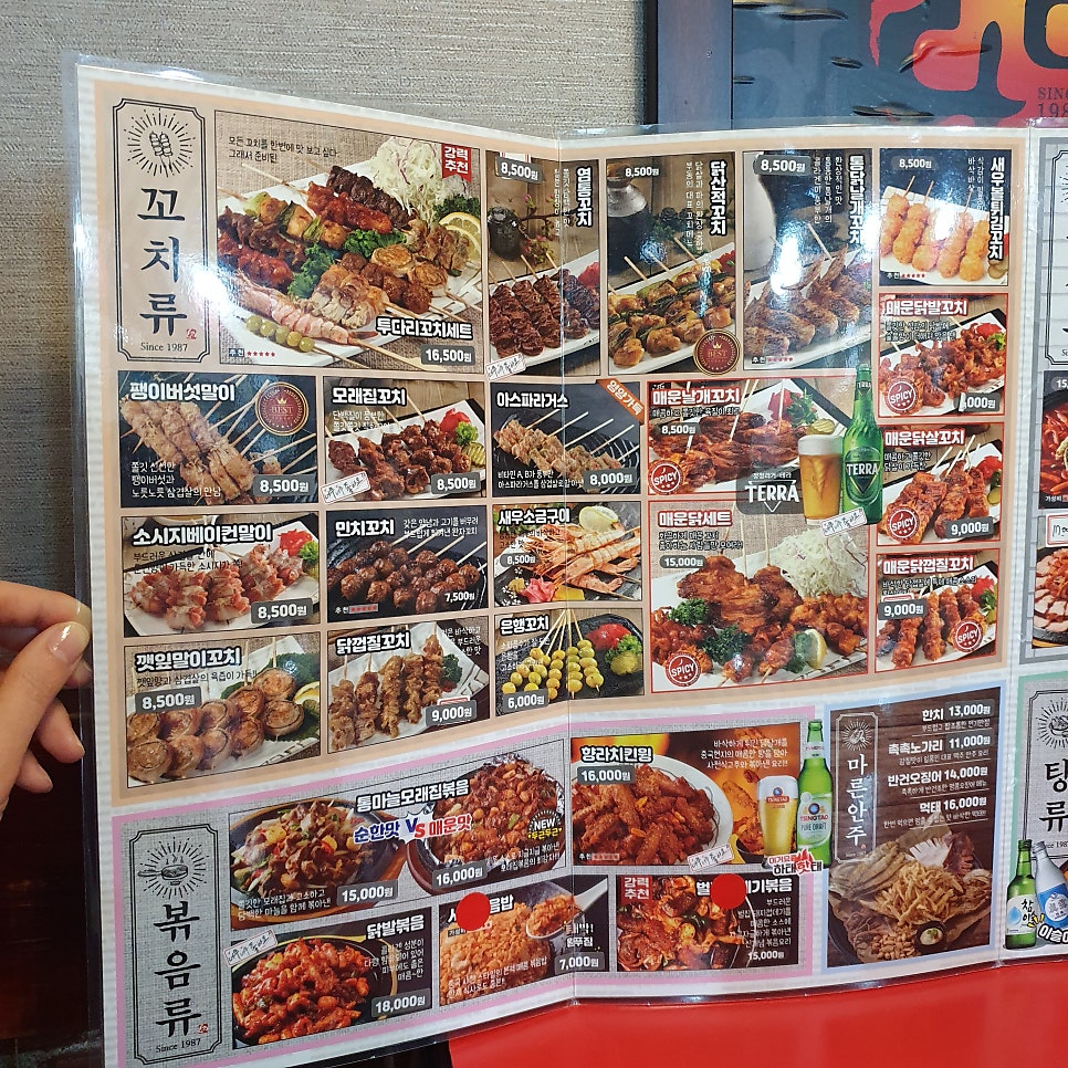 투다리 햇빛점 사진 3