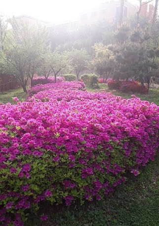  중랑구 사주: 절기와 사주,24절기,사주 생일 #동하사주타로(이동하 작명원)