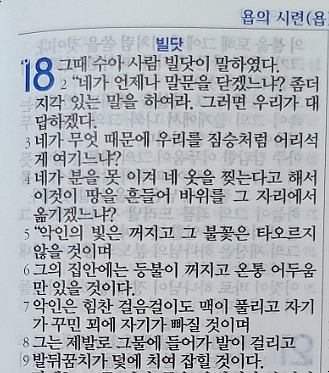 욥의 시련(욥기) 18장 욥의 시련(욥기) 18장