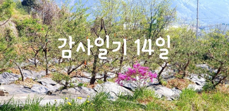 [감사 일기 14일] 내가 '당연하게' 누리고 있는 것들에 대한 감사 (현재)