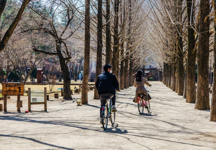 5월 국내여행지 추천 서울 근교 갈만한곳 남이섬 입장권 할인 5월 국내여행지 추천 서울 근교 갈만한곳 남이섬 입장권 할인