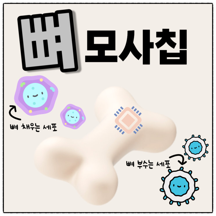  신약후보물질 발굴하는 뼈모세포와 세포외기질로 만든 뼈모사칩, 동물실험 문제 해결한다?
