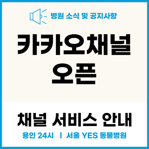 24시 서울YES동물병원 카카오톡채널 오픈 (용인 수지)