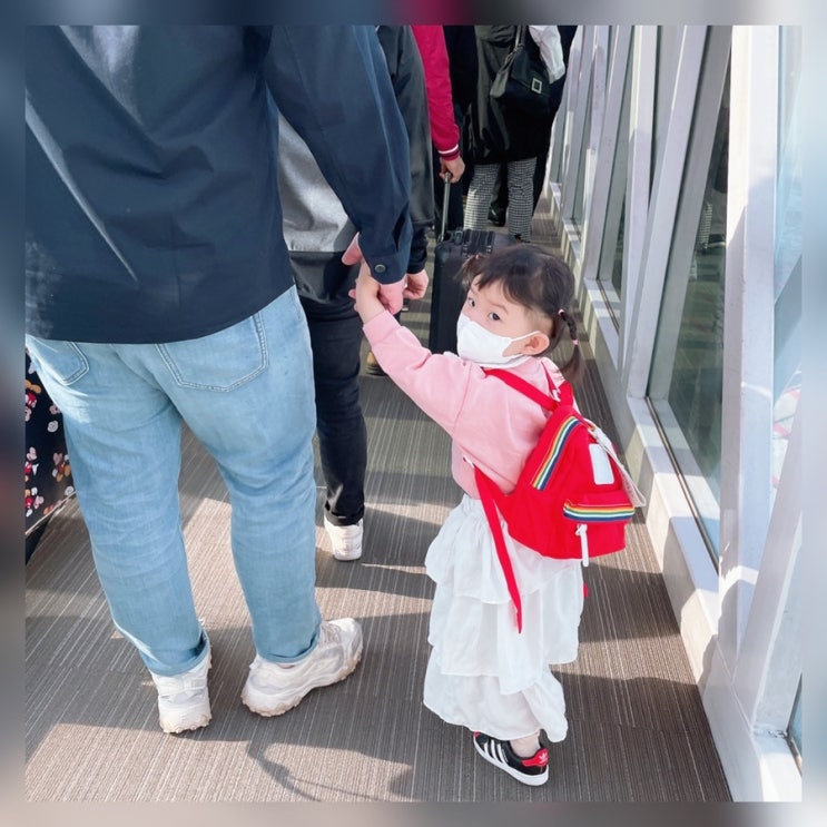 아기 비행기 신분증 등 준비물 추천템