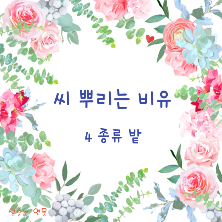  씨 뿌리는 비유_4종류 밭